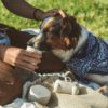 Dispensador de Bolsas para Heces de Perros - Imagen 3