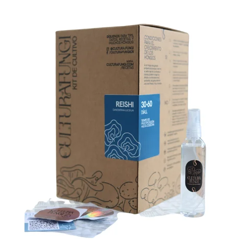 Kit Cultivo Hongos en Casa