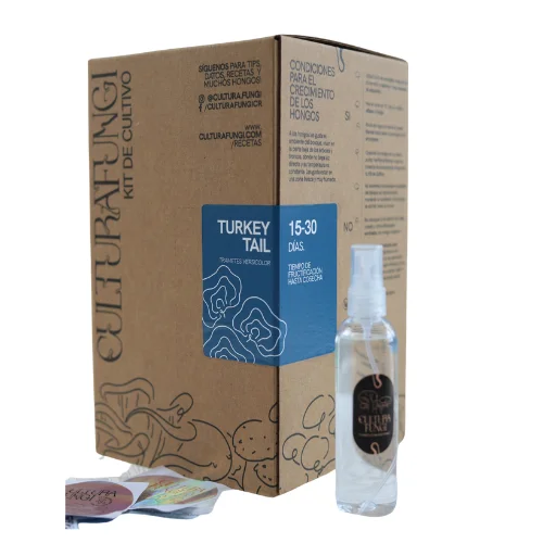 Kit Cultivo Hongos en Casa