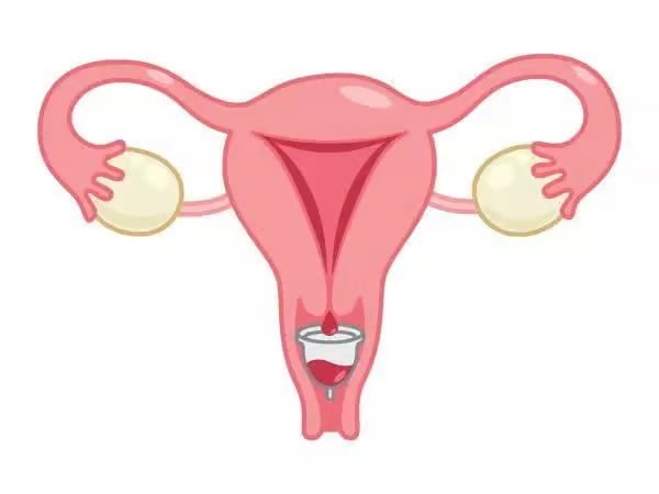 Copa Menstrual Datos Curiosos