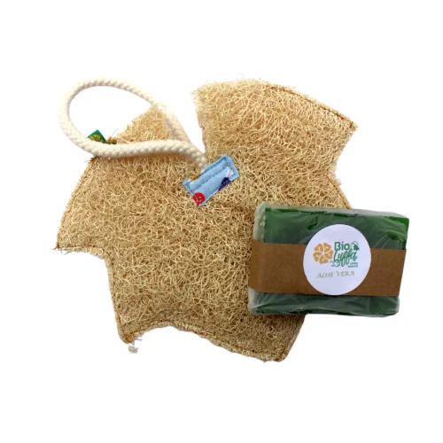 luffa esponja vegetal