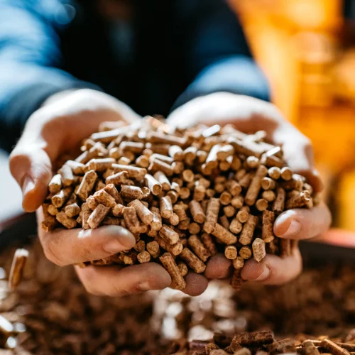 Pellets de Aserrin